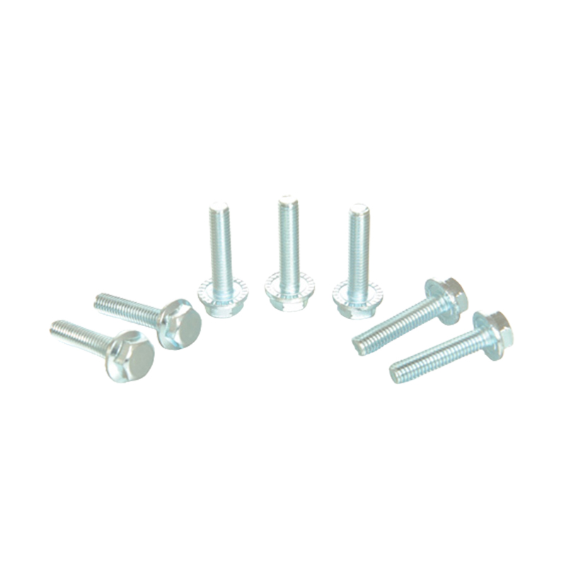 Zeshoekige flens met pakking en getande schroeven